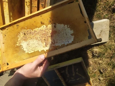 Pčelaru iz Tomislavgrada stradalo više od 50 košnica