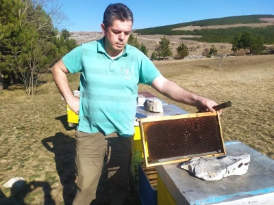 Pčelaru iz Tomislavgrada stradalo više od 50 košnica