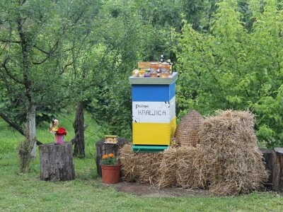 Pčelinjaci Kraljica – Porodična tradicija duga 22 godine Pčelinjaci Kraljica – Porodična tradicija duga 22 godine