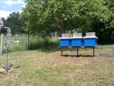 Pčelinjak Pčelinjak