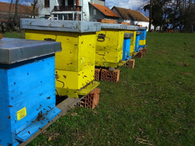 Pčelinjak domaćinstva Miladinović