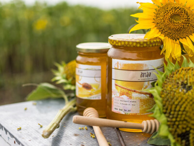 Pčelinjak i suncokreti