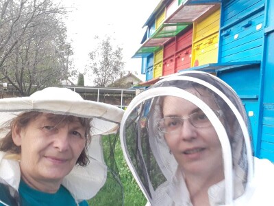 Pčelinjak porodice Vorgić