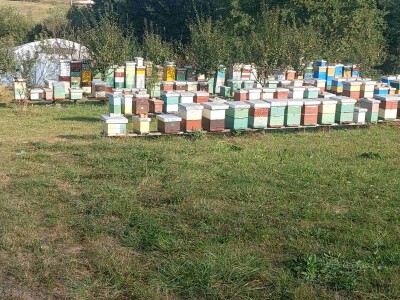 Pčelinjak Senada Hodžića