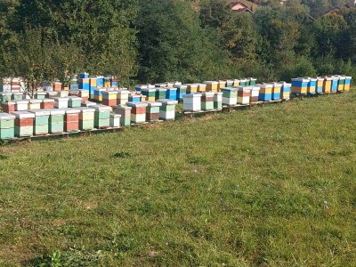 Pčelinjak Senada Hodžića