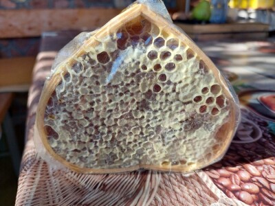 Pčelinjak Senada Hodžića