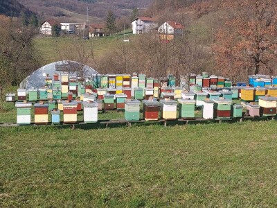 Pčelinjak Senada Hodžića