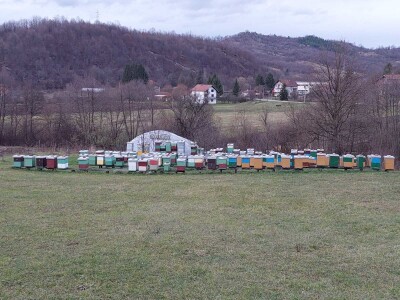 Pčelinjak Senada Hodžića