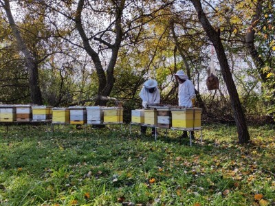 pčelinjak studeni pčelinjak studeni
