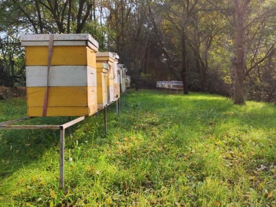 pčelinjak studeni pčelinjak studeni