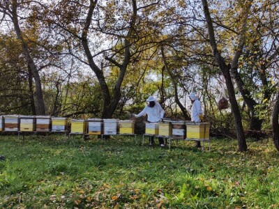 pčelinjak studeni pčelinjak studeni