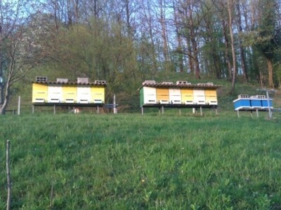 Pčelinjak Pčelinjak