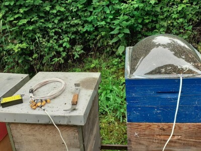 Pčelinji otrov Pčelinji otrov