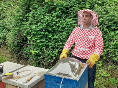 Pčelinji otrov Pčelinji otrov