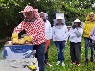 Pčelinji otrov Pčelinji otrov