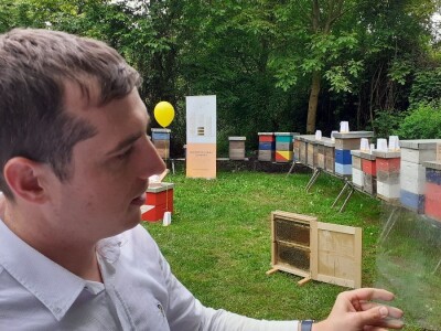 Pčelinji otrov Pčelinji otrov