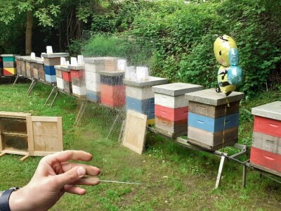 Pčelinji otrov Pčelinji otrov