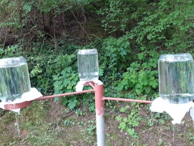 Pčelinji otrov Pčelinji otrov