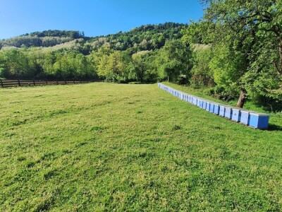 Pčelinji otrov u BiH jedan od najkvalitetnijih u Europi
