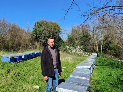 Pčelinji otrov u BiH jedan od najkvalitetnijih u Europi