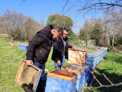 Pčelinji otrov u BiH jedan od najkvalitetnijih u Europi