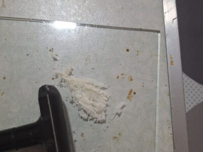 Pčelinji otrov u BiH jedan od najkvalitetnijih u Europi