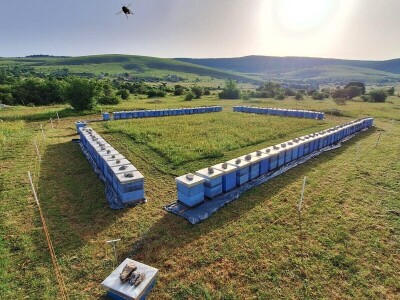 Pčelinji otrov u BiH jedan od najkvalitetnijih u Europi