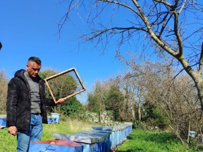 Pčelinji otrov u BiH jedan od najkvalitetnijih u Europi