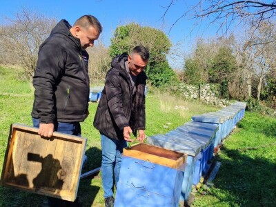 Pčelinji otrov u BiH jedan od najkvalitetnijih u Europi