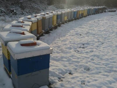 Pčelinji proizvodi OPG Krešić