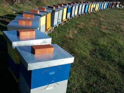 Pčelinji proizvodi OPG Krešić