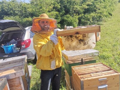 Pčelrstvo iz ugla mladih pčelara