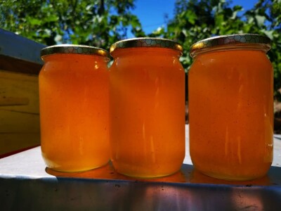 Pčelrstvo iz ugla mladih pčelara