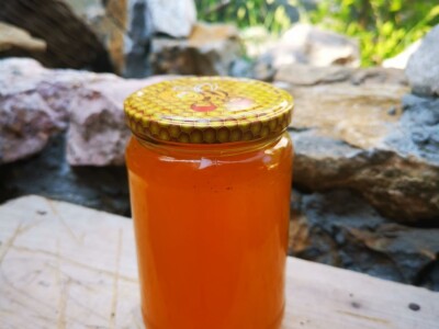 Pčelrstvo iz ugla mladih pčelara