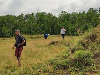 Gljive na našim livadama