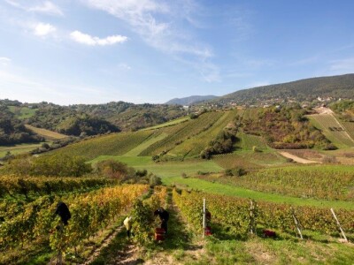 Zagrebačka županija Zagrebačka županija