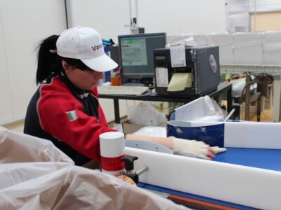 Pekare Vassalli šire kruh iz Ferrare diljem Italije