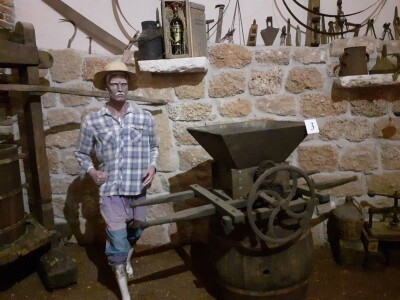 Pelješac - muzeji vina