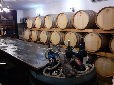 Pelješac - muzeji vina