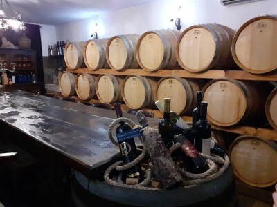 Pelješac - muzeji vina