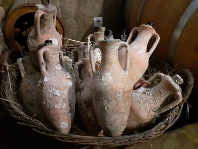 Pelješac - muzeji vina