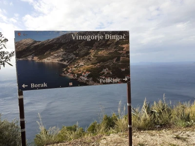 Pelješac - muzeji vina