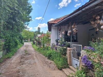 Penzionerske dane u Beogradu zamenjuju seoskim turizmom na Suvoj planini