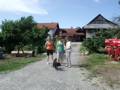 Perčec