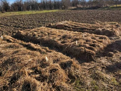 Perma model proizvodnje porodice Delić