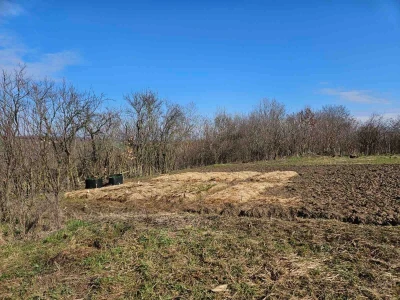 Perma model proizvodnje porodice Delić
