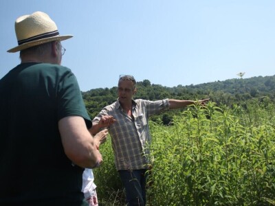 Permakultura Zlatna Jutra