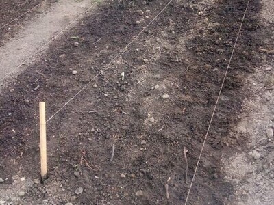 Permakultura Zlatna Jutra