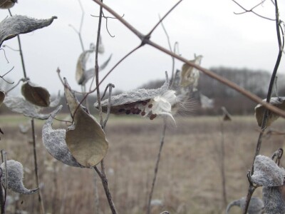 Permakultura Zlatna Jutra