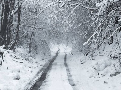 Permakultura Zlatna Jutra